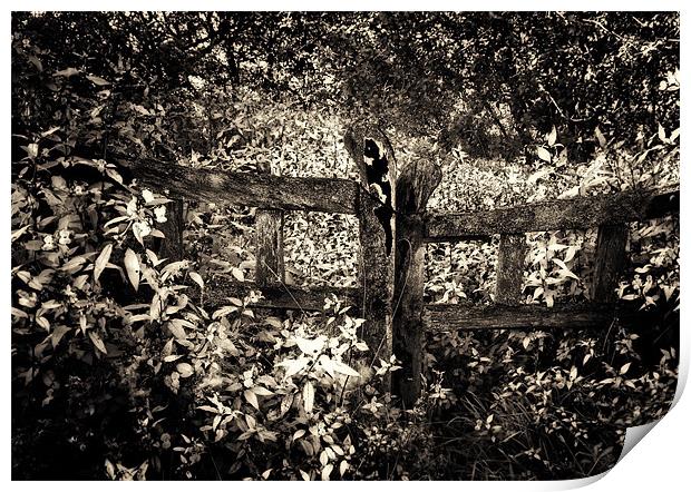 the old wooden gate Print by meirion matthias