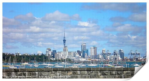 Auckland across the harbour Print by Mandy Rice