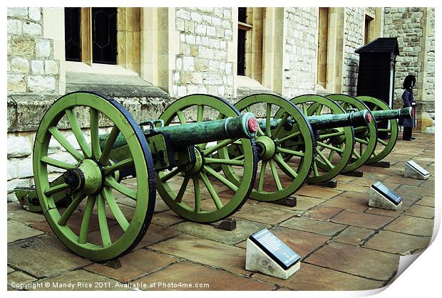 Cannons outside The Jewel House Print by Mandy Rice