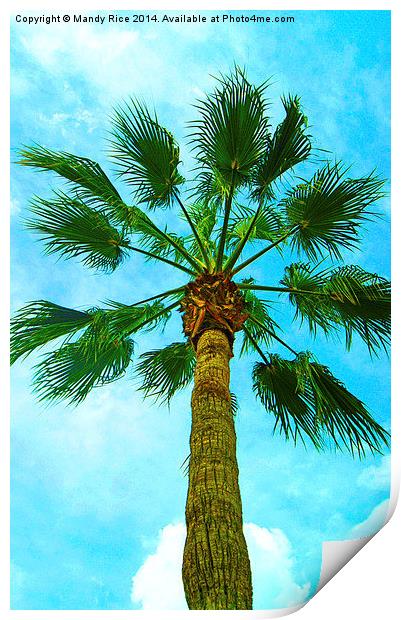  Palm tree Print by Mandy Rice