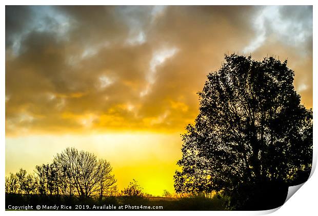 Tree silhouette Print by Mandy Rice