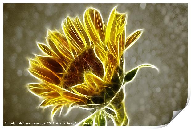 Sunflower Fractalius Print by Fiona Messenger