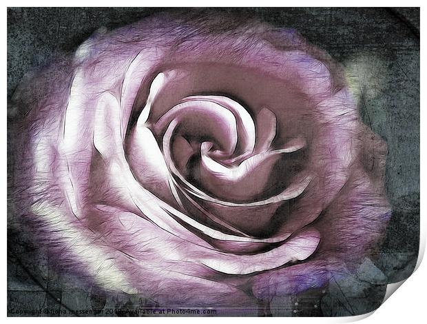 Blush Pink Rose Print by Fiona Messenger