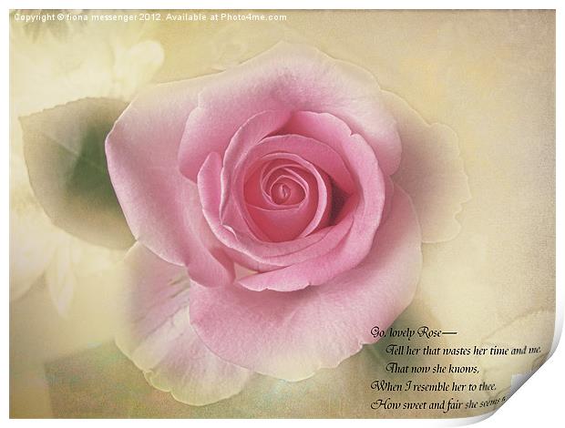 Go lovely Rose Print by Fiona Messenger