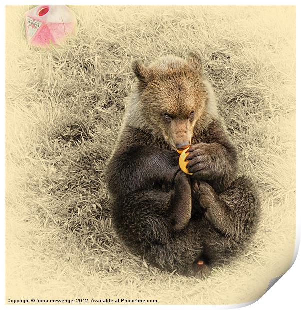 Bear Cub Print by Fiona Messenger