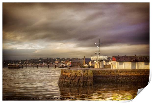 Broughty Ferry Harbour Print by Fiona Messenger