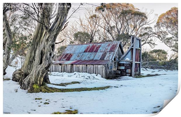 Wallaces Hut - Winter Print by Mark Lucey