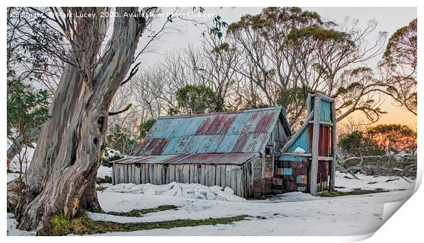 Hut in the Snow Print by Mark Lucey