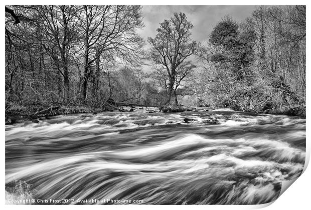 Raging River Wharf BW Print by Chris Frost