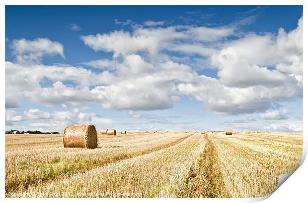 St Andrews Bales Print by Chris Frost