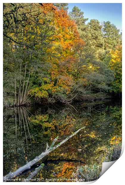 Nidd Gorge Autumn Reflections Print by Chris Frost