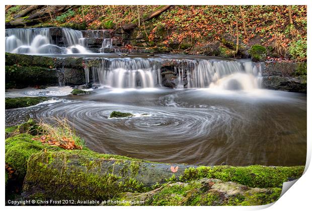 Scaleber Force Eddy Print by Chris Frost