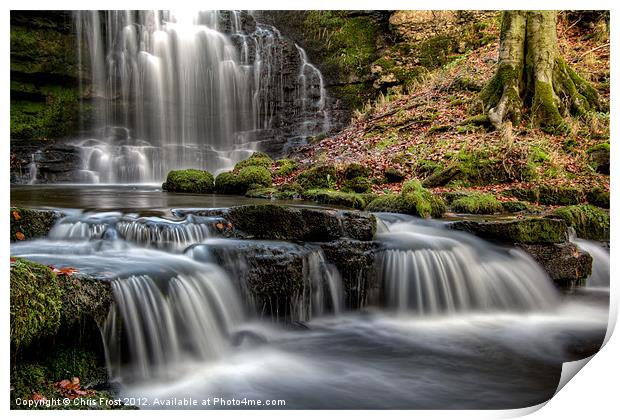 Scaleber Force Falls Print by Chris Frost