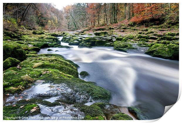 The Enchanted Strid Print by Chris Frost