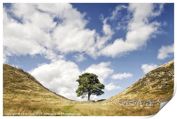 Sycamore Gap at Hadrians Wall Print by Chris Frost