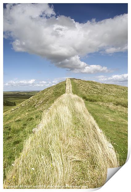 Hadrians Wall Print by Chris Frost