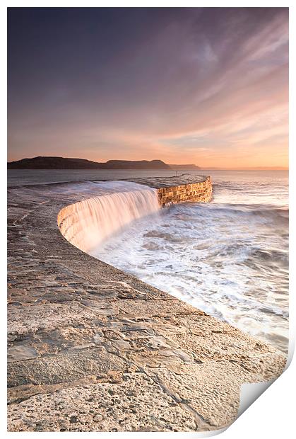 Sunkissed Cobb at Lyme Regis Print by Chris Frost