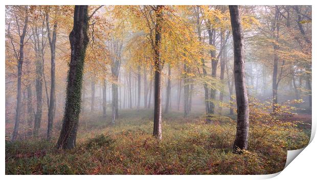 Autumnal Hooke Print by Chris Frost