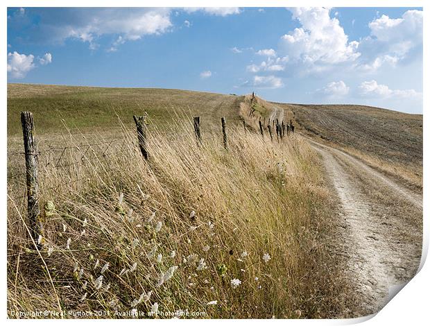 Path Through the Tuscan Hills Print by Neal P