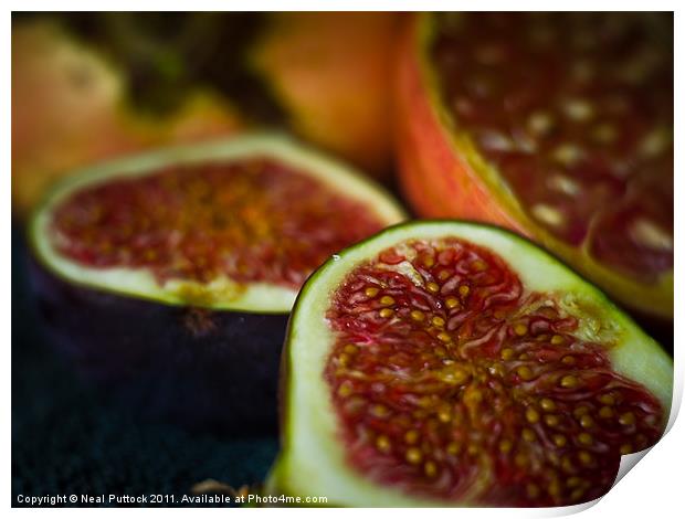Figs & Pomegranate Print by Neal P