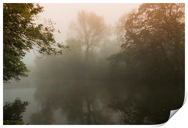  Mist in the Trees Print by Neal P