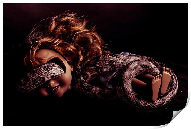 Snake Eye Print by Neal P