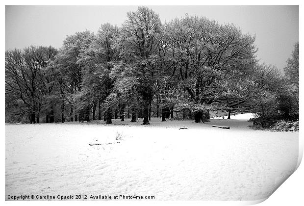 Snowy Hampstead Heath Print by Caroline Opacic