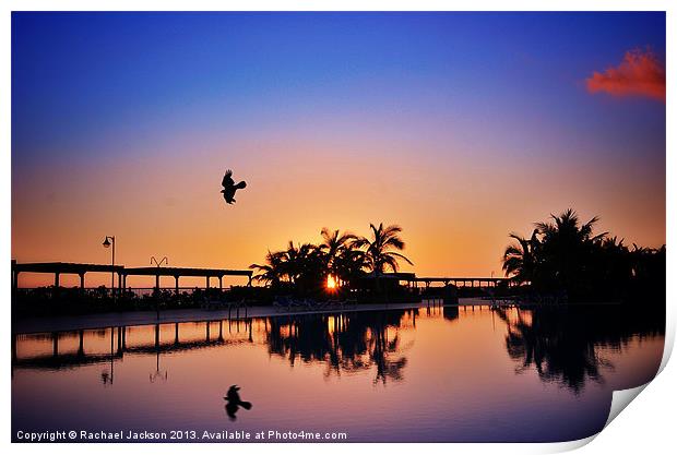 Palm Tree Ripple Print by Rachael Hood