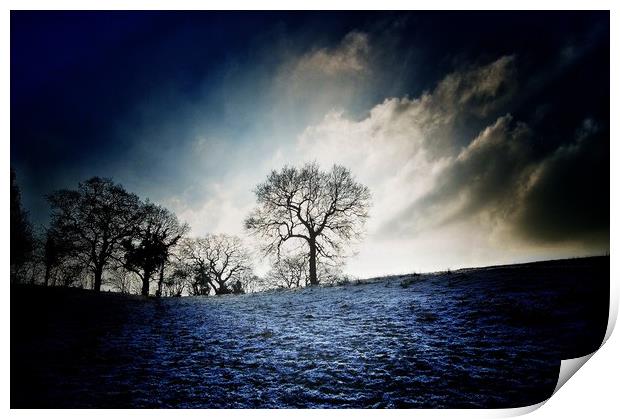 Dramatic frost Print by Rachael Hood