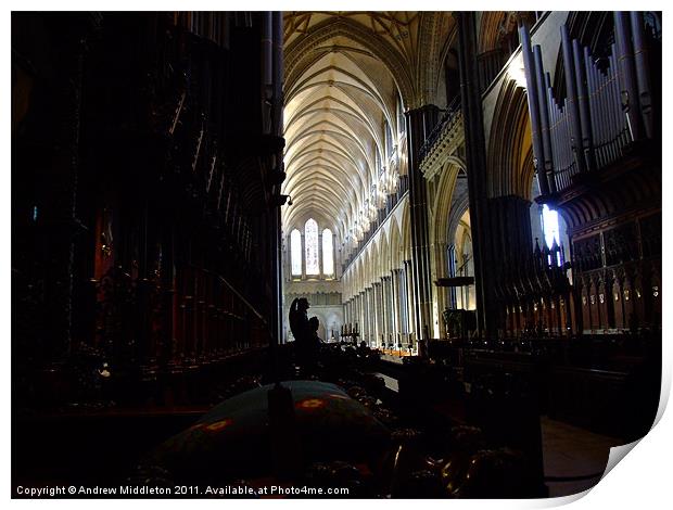 Salisbury Cathedral Print by Andrew Middleton