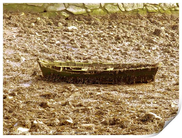 Barnacle Boat Print by Andrew Middleton