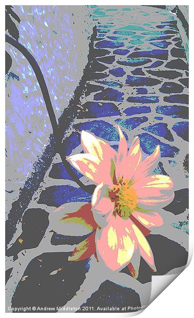 Abstract Flower Print by Andrew Middleton