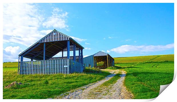 Green Green Grass Of Home Print by Andrew Middleton