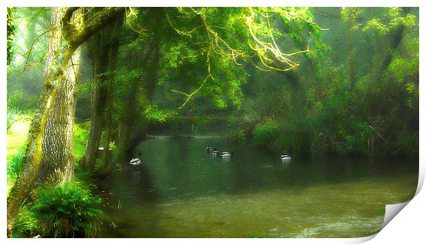 Misty In Clatford Print by Andrew Middleton