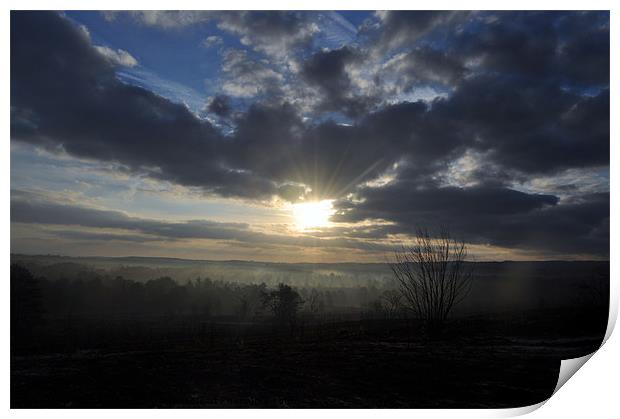 sunrise over misty frensham pond Print by mark coates