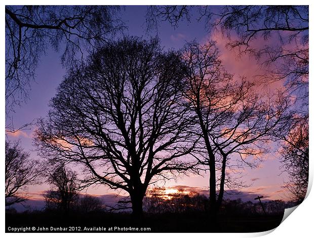 Woodlands Edge Sunset Print by John Dunbar