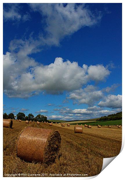 Sussex Harvest Print by Phil Clements