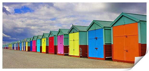 Hove Beach Huts Print by Phil Clements