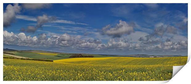 Falmer Fields Panorama Print by Phil Clements
