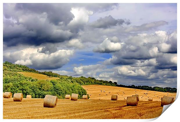 Hay Bales Print by Phil Clements