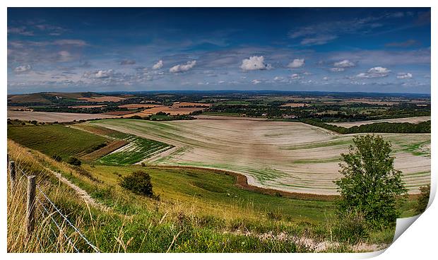  View From Firle Beacon Print by Phil Clements