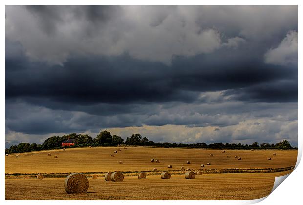  Harvest Time, Glynde Print by Phil Clements