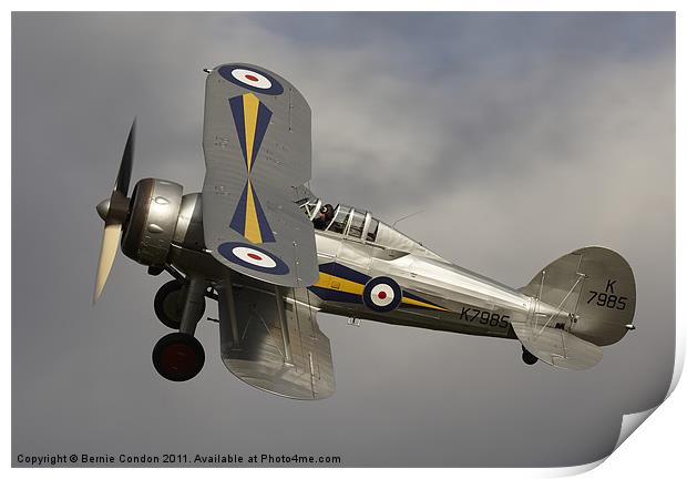 Gloster Gladiator Print by Bernie Condon