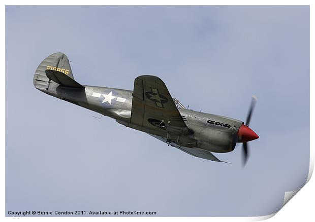 P40 Tomahawk Print by Bernie Condon