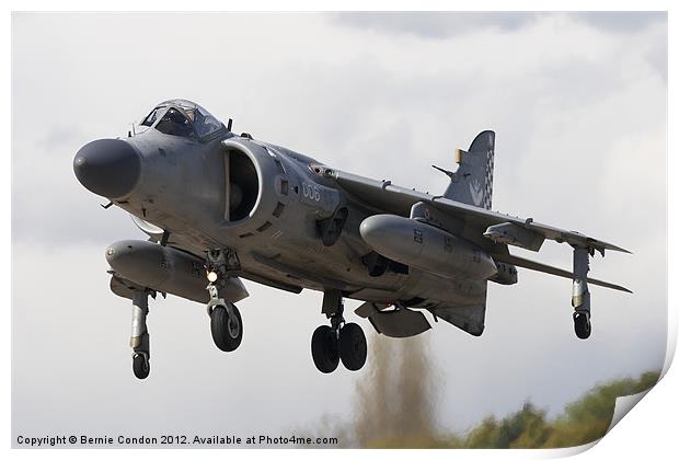 Sea Harrier FA2 Print by Bernie Condon