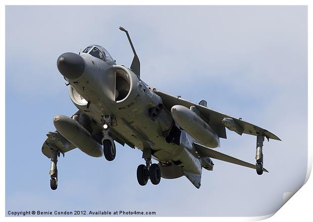 Royal Navy Sea Harrier Print by Bernie Condon