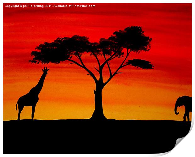 African sunset Print by camera man