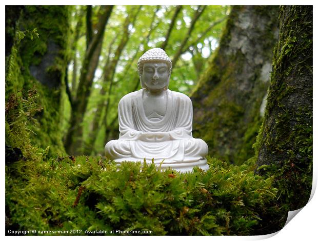 Buddha moss Print by camera man
