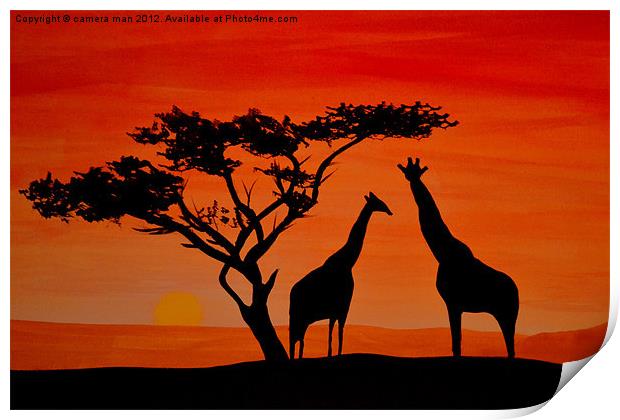 Longneck sunset Print by camera man