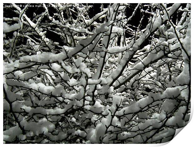Snow Bush Print by camera man